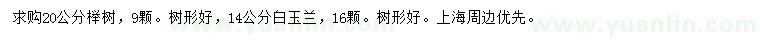 求购20公分榉树、14公分白玉兰