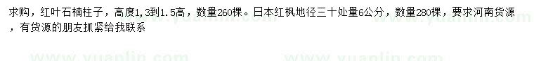 求购高1.3-1.5米红叶石楠柱子、地径30公分量6公分日本红枫