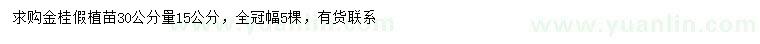 求购30公分量15公分金桂