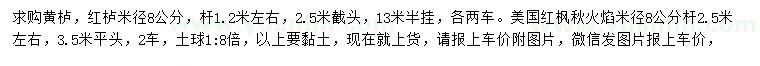 求购黄栌、红栌、美国红枫秋火焰