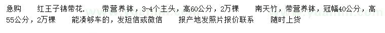 求购高60公分红王子锦带、55公分南天竹