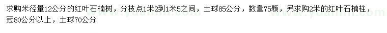 求购米径量12公分红叶石楠、2米红叶石楠柱