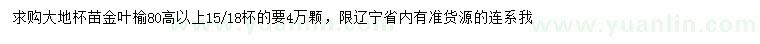 求购高80公分以上金叶榆