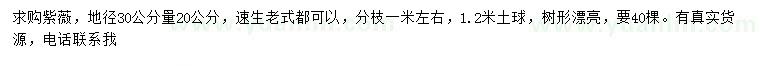 求购地径30公分量20公分紫薇