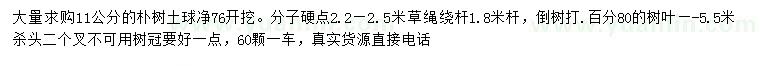 求购11公分朴树