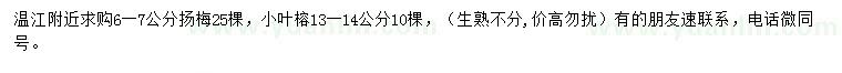 求购6-7公分扬梅、13-14公分小叶榕