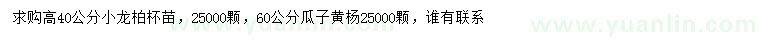 求购高40公分小龙柏、60公分瓜子黄杨