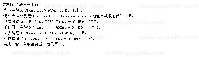 求购香樟、澳洲火焰、银鳞风铃等
