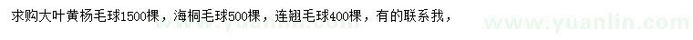 求购大叶黄杨毛球、海桐毛球、连翘毛球