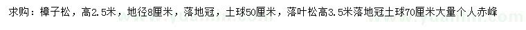 求购高2.5米樟子松、3.5米落叶松