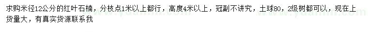 求购米径12公分红叶石楠