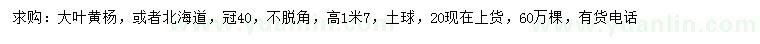 求购冠幅40公分大叶黄杨、北海道