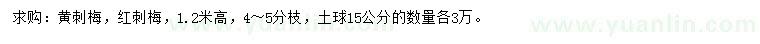 求购高1.2米黄刺梅、红刺梅
