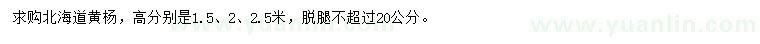 求购高1.5、2、2.5米北海道黄杨