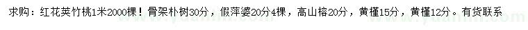 求购红花荚竹桃、朴树、假萍婆等