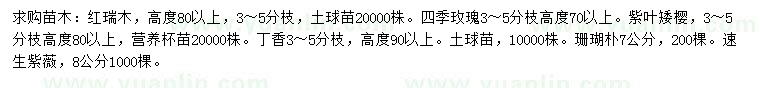 求购红瑞木、四季玫瑰、紫叶矮樱等