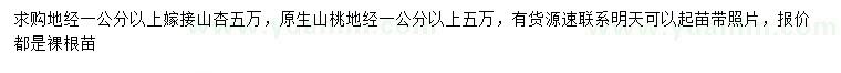 求购地径1公分以上嫁接山杏、山桃