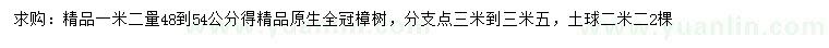 求购1.2米量48-54公分精品樟树