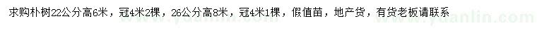 求购22、26公分朴树