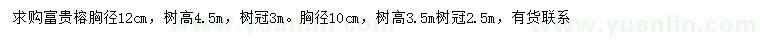 求购胸径10、12公分富贵榕