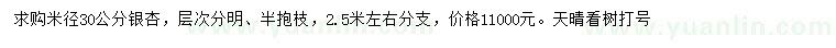 求购米径30公分银杏