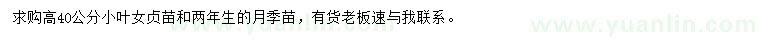 求购高40公分小叶女贞、2年生月季