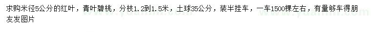 求购米径5公分红叶、青叶碧桃