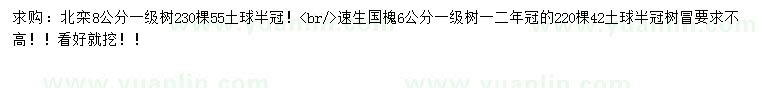 求购8公分北栾、6公分速生国槐