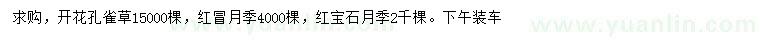 求购孔雀草、红帽月季、红宝石月季