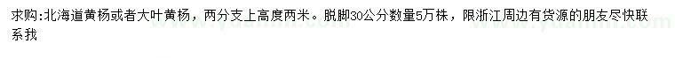 求购高2米北海道黄杨