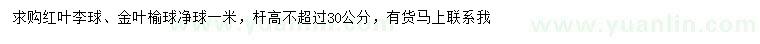 求购1米红叶李球、金叶榆球