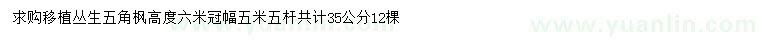 求购高6米丛生五角枫