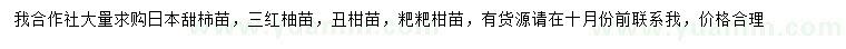求购日本甜柿苗、三红柚苗、丑柑苗等