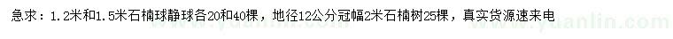 求购1.2、1.5米石楠球、地径12公分石楠树