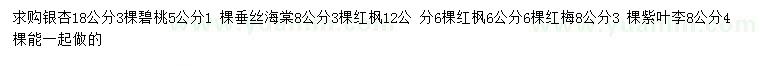 求购银杏、碧桃、垂丝海棠等