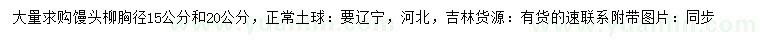 求购胸径15、20公分馒头柳