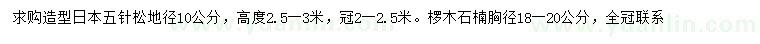 求购地径10公分造型日本五针松、胸径18-20公分椤木石楠