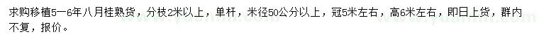 求购米径50公分以上八月桂