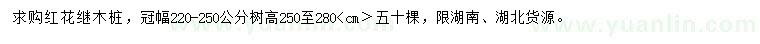 求购冠幅220-250公分红花继木桩