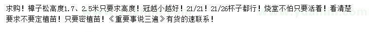 求购高1.7、2.5米樟子松