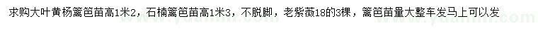 求购大叶黄杨、石楠、老紫薇