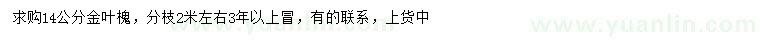 求购14公分金叶槐