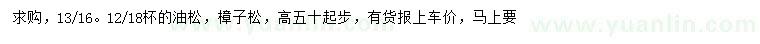 求购高50公分起步油松、樟子松