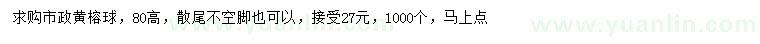 求购高80公分黄榕球