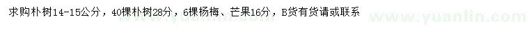 求购朴树、杨梅、芒果