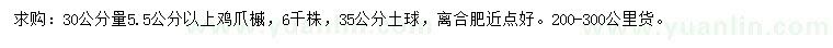 求购30量5.5公分以上鸡爪槭