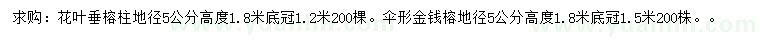 求购地径5公分花叶垂榕柱、伞形金钱榕