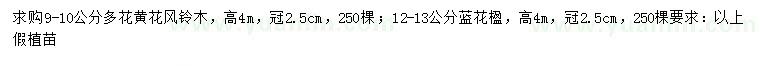 求购9-10公分多花黄花风铃木、12-13公分蓝花楹