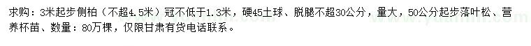 求购3米起步侧柏、50公分起步落叶松