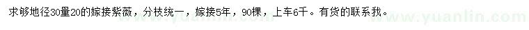 求购地径30量20公分嫁接紫薇